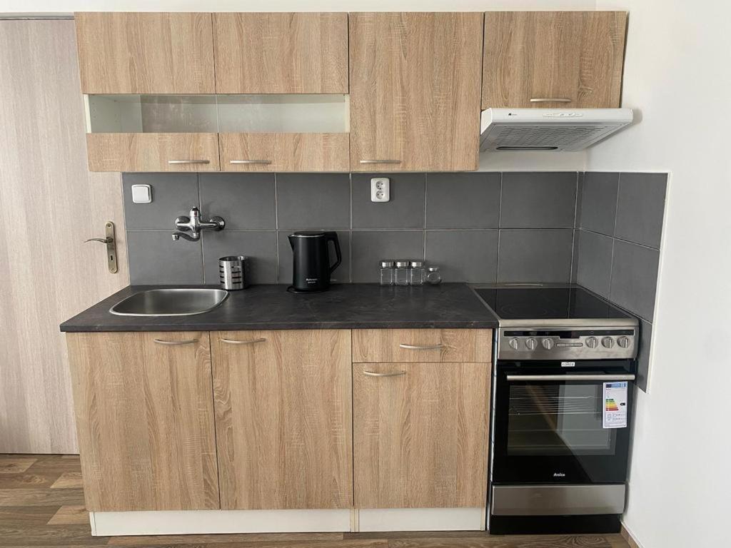 Cerna Ruze - Apartman 4 Pilsen Exterior photo